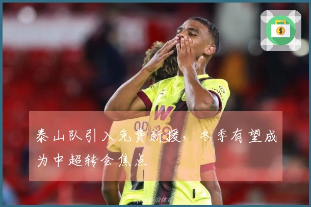 泰山队引入免费新援，冬季有望成为中超转会焦点