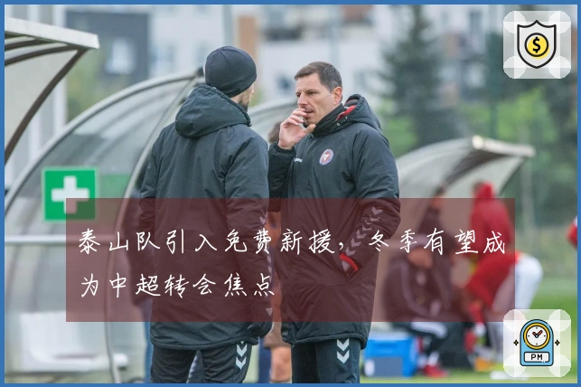 泰山队引入免费新援,冬季有望成为中超转会焦点